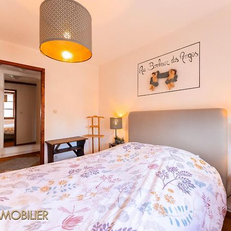 Au Bonheur Des Anges Appartement 2 Chambres Avec Terrasse Colmar Exteriör bild