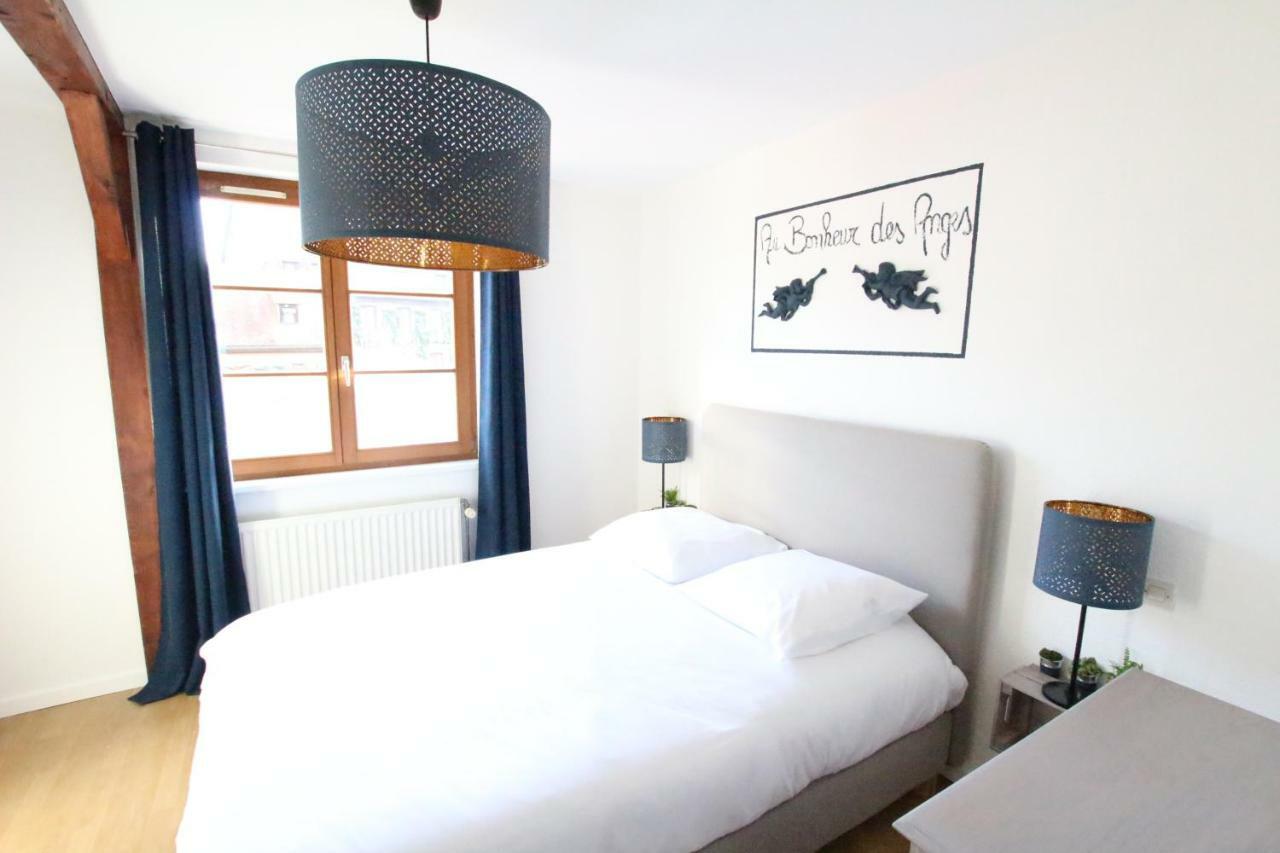 Au Bonheur Des Anges Appartement 2 Chambres Avec Terrasse Colmar Exteriör bild
